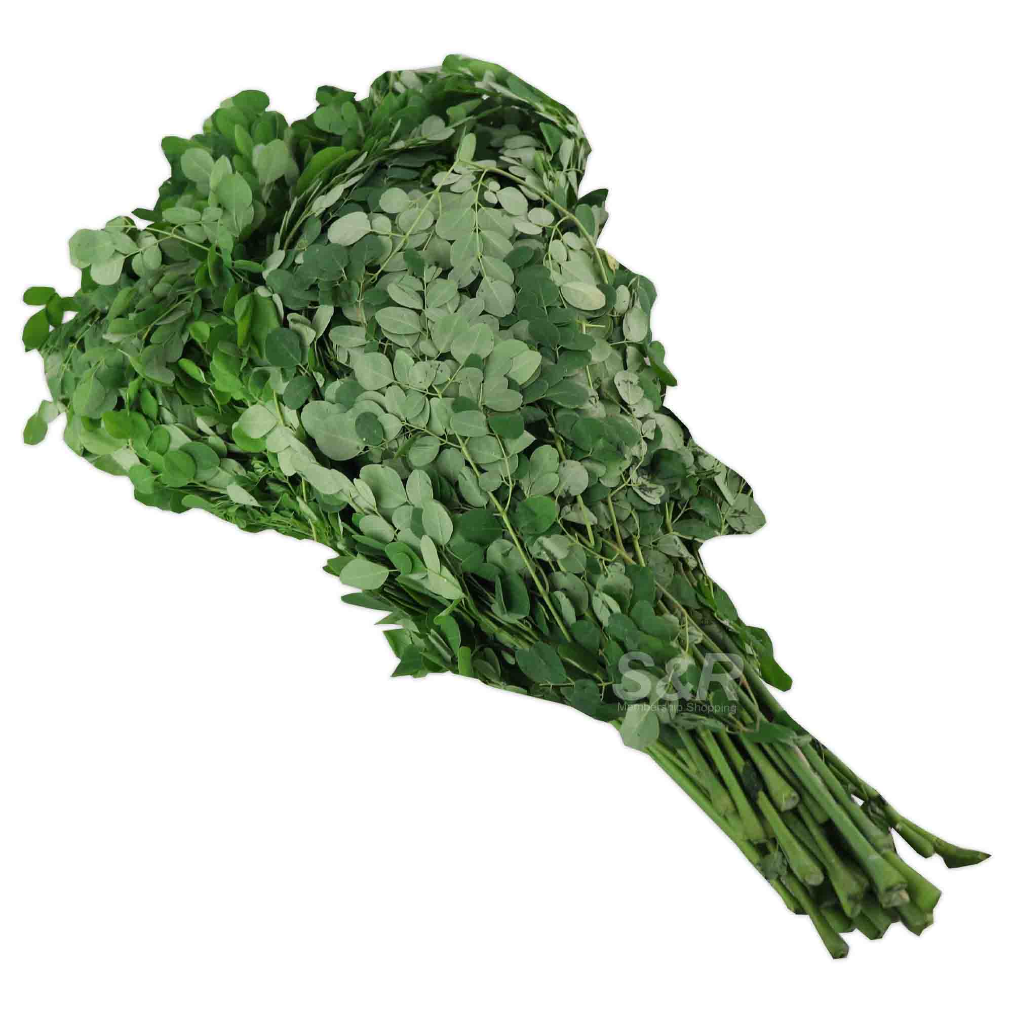 S&R Malunggay Leaves approx. 600g S&R Malunggay Leaves approx. 600g